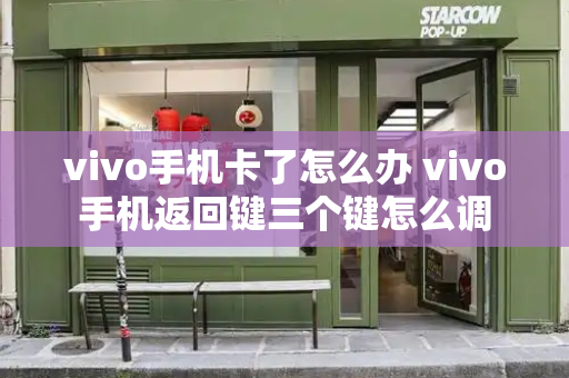 vivo手机卡了怎么办 vivo手机返回键三个键怎么调