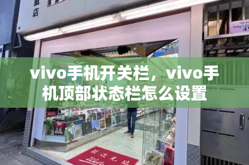 vivo手机开关栏，vivo手机顶部状态栏怎么设置-第1张图片-星选测评