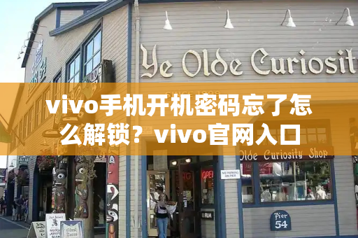 vivo手机开机密码忘了怎么解锁？vivo官网入口-第1张图片-星选测评