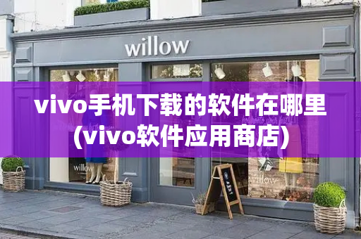 vivo手机下载的软件在哪里(vivo软件应用商店)-第1张图片-星选测评