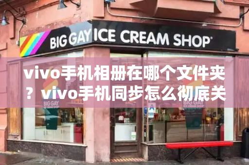 vivo手机相册在哪个文件夹？vivo手机同步怎么彻底关闭-第1张图片-星选测评