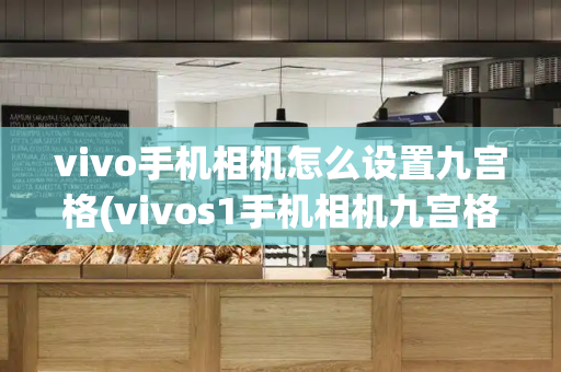 vivo手机相机怎么设置九宫格(vivos1手机相机九宫格在哪)