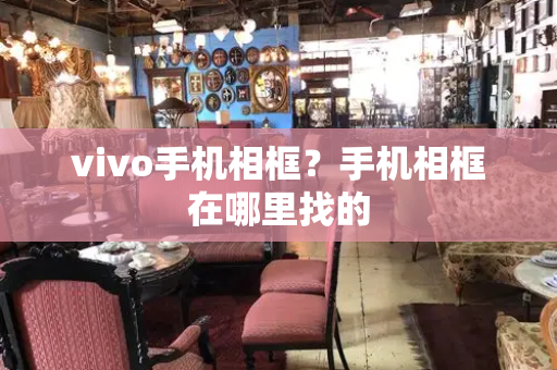 vivo手机相框？手机相框在哪里找的-第1张图片-星选测评