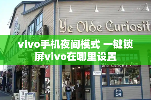 vivo手机夜间模式 一键锁屏vivo在哪里设置-第1张图片-星选测评