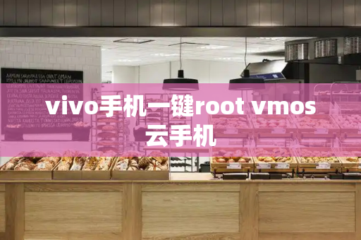 vivo手机一键root vmos云手机-第1张图片-星选测评