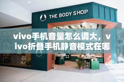 vivo手机音量怎么调大，vivo折叠手机静音模式在哪-第1张图片-星选测评