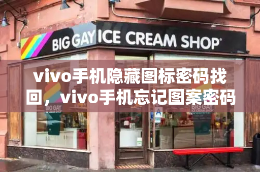 vivo手机隐藏图标密码找回，vivo手机忘记图案密码怎么办-第1张图片-星选测评