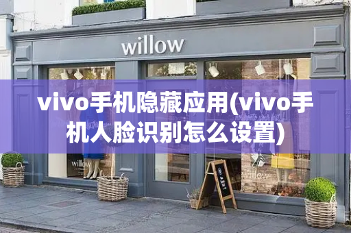 vivo手机隐藏应用(vivo手机人脸识别怎么设置)-第1张图片-星选测评