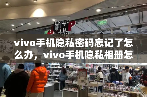 vivo手机隐私密码忘记了怎么办，vivo手机隐私相册怎么找出来-第1张图片-星选测评