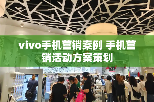 vivo手机营销案例 手机营销活动方案策划-第1张图片-星选测评