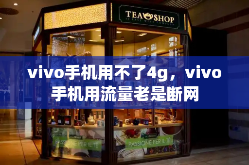 vivo手机用不了4g，vivo手机用流量老是断网