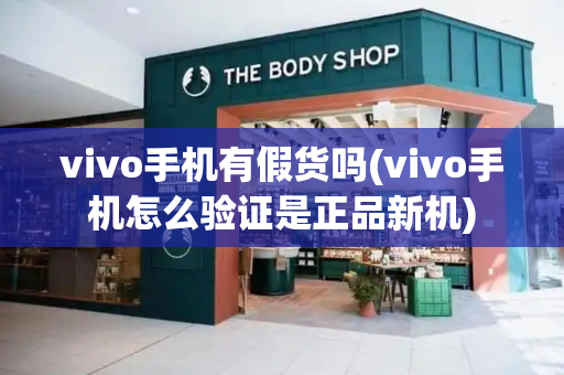 vivo手机有假货吗(vivo手机怎么验证是正品新机)-第1张图片-星选测评