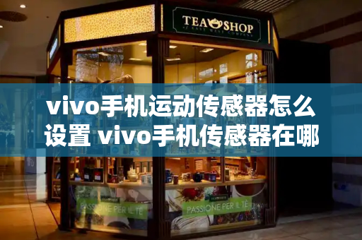 vivo手机运动传感器怎么设置 vivo手机传感器在哪里设置-第1张图片-星选测评