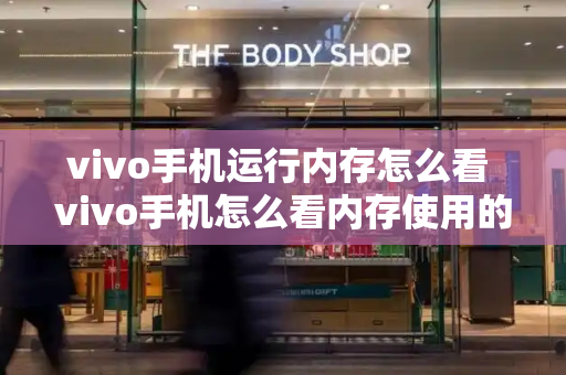 vivo手机运行内存怎么看 vivo手机怎么看内存使用的详细情况-第1张图片-星选测评