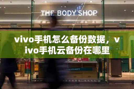 vivo手机怎么备份数据，vivo手机云备份在哪里-第1张图片-星选测评