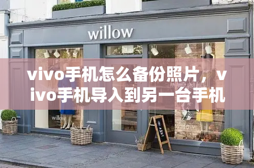 vivo手机怎么备份照片，vivo手机导入到另一台手机-第1张图片-星选测评