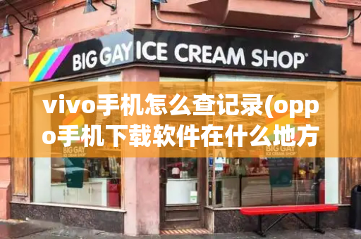 vivo手机怎么查记录(oppo手机下载软件在什么地方)-第1张图片-星选测评