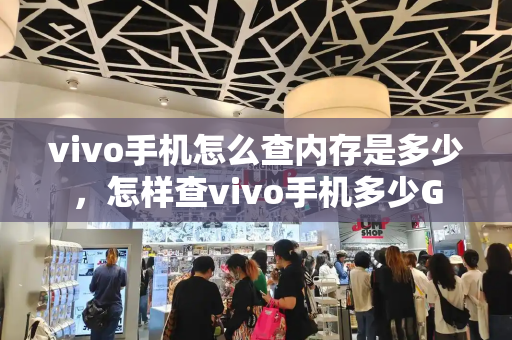 vivo手机怎么查内存是多少，怎样查vivo手机多少G-第1张图片-星选测评