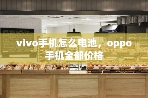 vivo手机怎么电池，oppo手机全部价格-第1张图片-星选测评