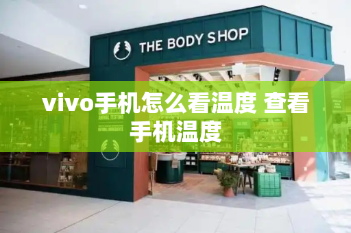 vivo手机怎么看温度 查看手机温度-第1张图片-星选测评