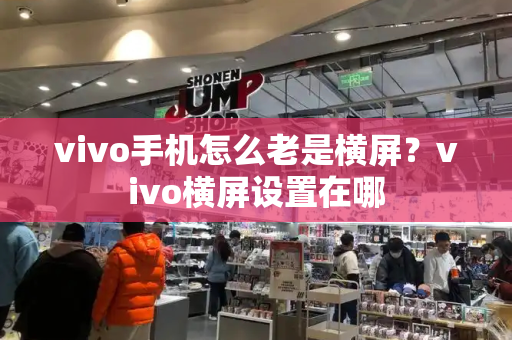 vivo手机怎么老是横屏？vivo横屏设置在哪-第1张图片-星选测评