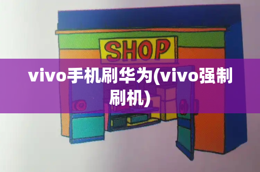 vivo手机刷华为(vivo强制刷机)