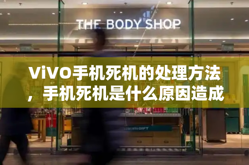 ViVO手机死机的处理方法，手机死机是什么原因造成的