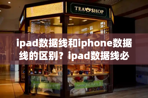 ipad数据线和iphone数据线的区别？ipad数据线必须用原装的吗-第1张图片-星选测评