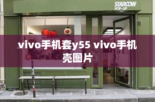 vivo手机套y55 vivo手机壳图片-第1张图片-星选测评