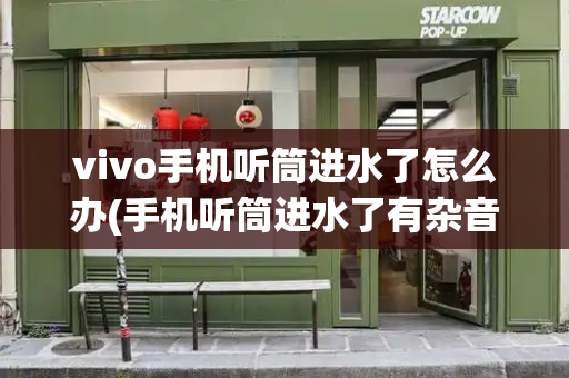 vivo手机听筒进水了怎么办(手机听筒进水了有杂音滋滋怎么办)-第1张图片-星选测评