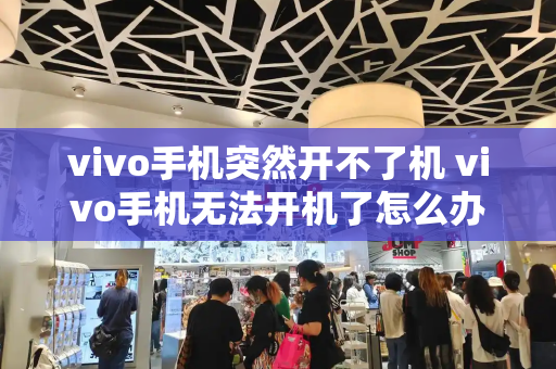 vivo手机突然开不了机 vivo手机无法开机了怎么办-第1张图片-星选测评