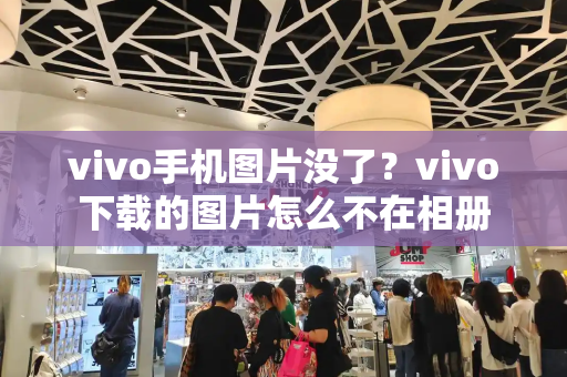 vivo手机图片没了？vivo下载的图片怎么不在相册