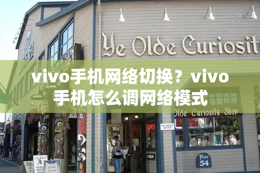 vivo手机网络切换？vivo手机怎么调网络模式-第1张图片-星选测评