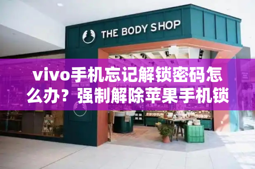 vivo手机忘记解锁密码怎么办？强制解除苹果手机锁屏密码-第1张图片-星选测评