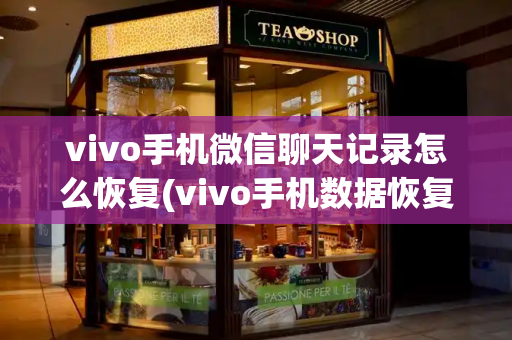 vivo手机微信聊天记录怎么恢复(vivo手机数据恢复)