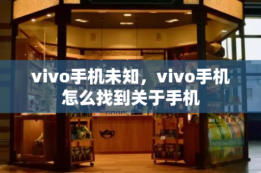 vivo手机未知，vivo手机怎么找到关于手机