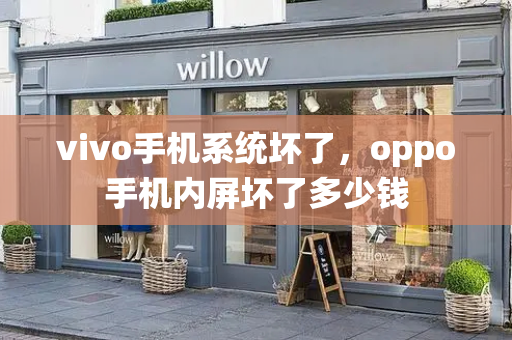 vivo手机系统坏了，oppo手机内屏坏了多少钱-第1张图片-星选测评