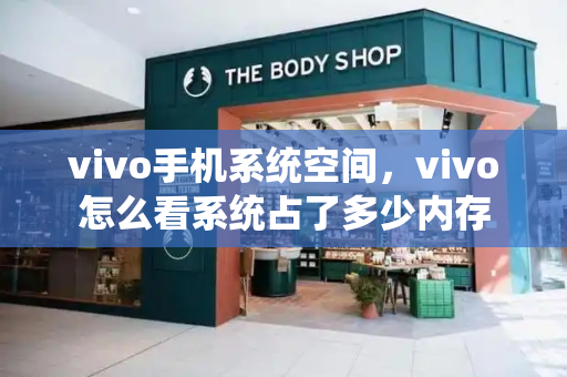 vivo手机系统空间，vivo怎么看系统占了多少内存