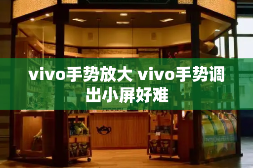 vivo手势放大 vivo手势调出小屏好难-第1张图片-星选测评