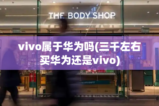 vivo属于华为吗(三千左右买华为还是vivo)-第1张图片-星选测评