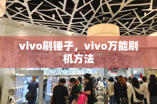 vivo刷锤子，vivo万能刷机方法-第1张图片-星选测评