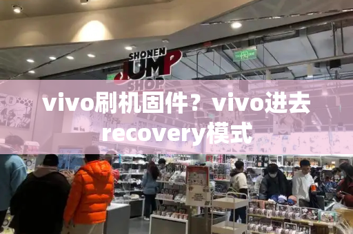 vivo刷机固件？vivo进去recovery模式