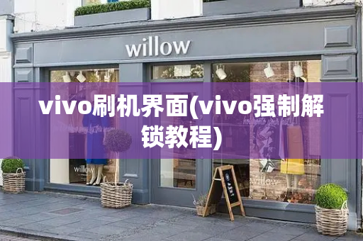 vivo刷机界面(vivo强制解锁教程)