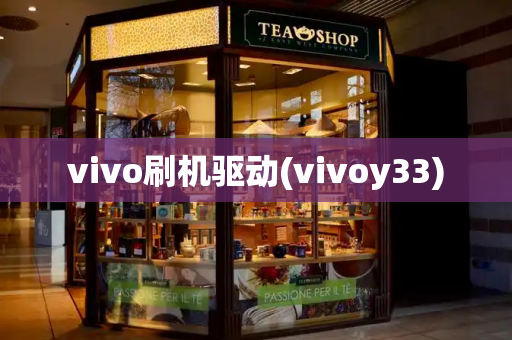 vivo刷机驱动(vivoy33)