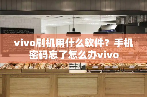 vivo刷机用什么软件？手机密码忘了怎么办vivo-第1张图片-星选测评