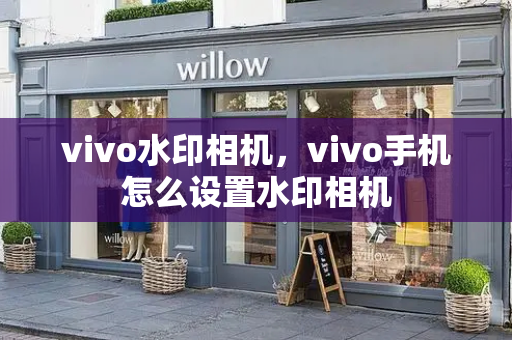 vivo水印相机，vivo手机怎么设置水印相机-第1张图片-星选测评