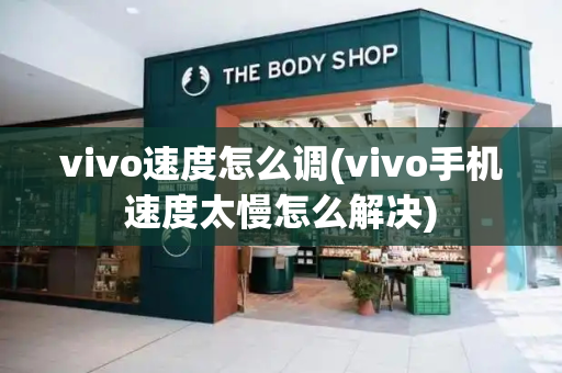 vivo速度怎么调(vivo手机速度太慢怎么解决)