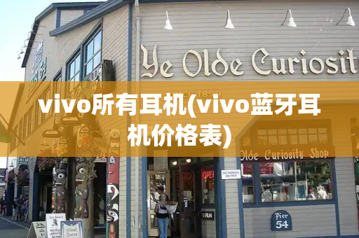 vivo所有耳机(vivo蓝牙耳机价格表)-第1张图片-星选测评