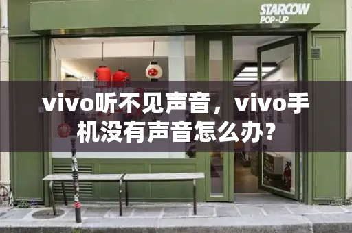 vivo听不见声音，vivo手机没有声音怎么办？-第1张图片-星选测评