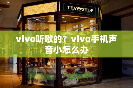 vivo听歌的？vivo手机声音小怎么办